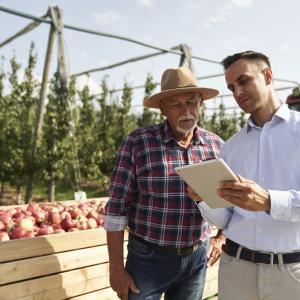 Dois homens olhando um tablet ao lado de uma grande caixa de maçãs. Se vê um trator ao fundo.